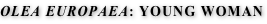 shapeimage_3_link_1