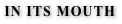 shapeimage_5_link_10