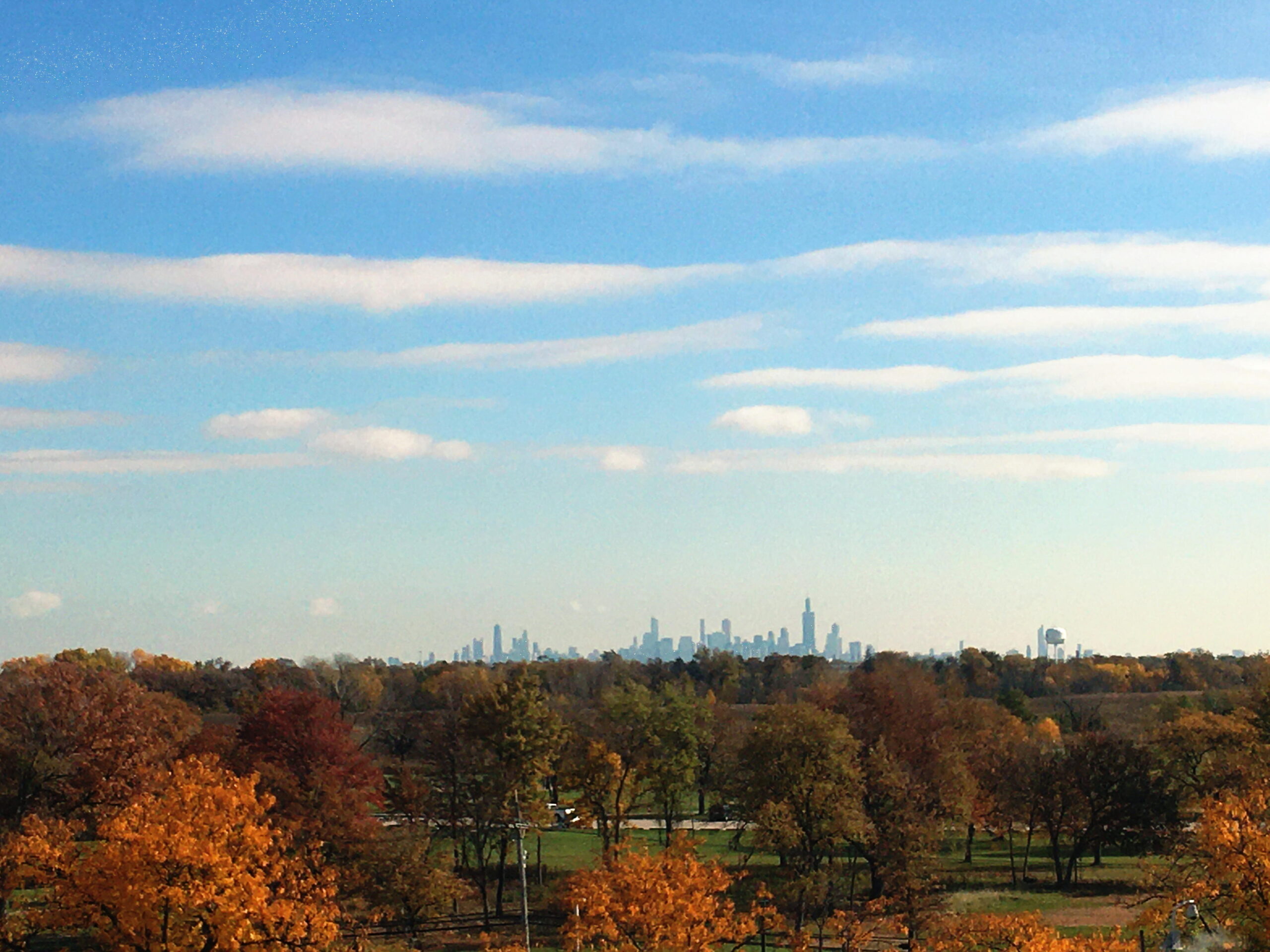 Image of Chicago across the prairie and forest.